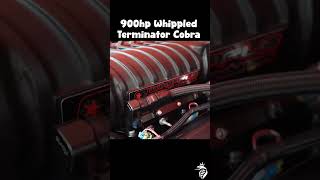 900hp Terminator Cobra IG stickshiftdude [upl. by Plunkett365]