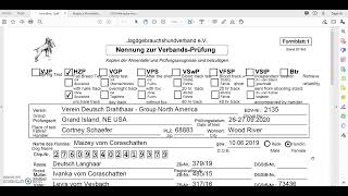 How to Complete Formblatt 1 for HZP Entry [upl. by Tnarud]