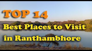 TOP 14 Best Places to Visit in Ranthambore National Park [upl. by Rabiah]