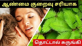 தொட்டால் சுருங்கி செடியின் மருத்துவ குணங்கள் Aanmai Athikarikka Tips In Tamil [upl. by Veats]