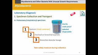 Mycobacteria Mycobacterium tuberculosis and others [upl. by Hendel349]