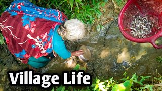 গ্রামের মানুষের সাধারণ জীবন যাপন। গ্রামের মেয়ে যেভাবে মাছ ধরে। Village Life  Agro Farm With Family [upl. by Leasim547]