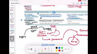 DPP 4 inhibitors mechanism of action endocrinology 91  First Aid USMLE Step 1 in UrduHindi [upl. by Llerrad]