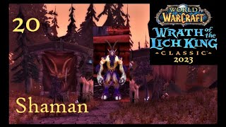 WoW Classic WotLK Shaman 20  Satyrs [upl. by Naek]