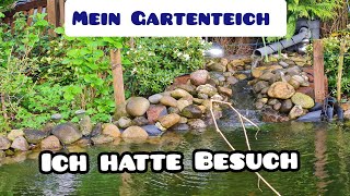 Mein Endgegner am Gartenteich Filteranlage reinigen [upl. by Naened36]