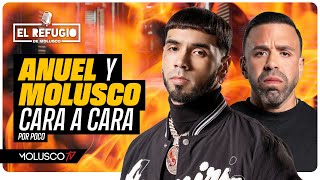 Anuel y Molusco cara a cara por Ozuna por poco Cantante vista con Camisa de Moli Lupillo seduce [upl. by Anallij]