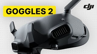 DJI Goggles 2 im Hands On  ALLE Einstellungen [upl. by Saenihp]