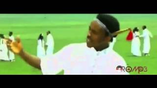 Oromo Music  Nigusu Tamirat  Laga Saay [upl. by Id]