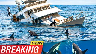 Actual Footage of FIve Horrifying attacks by quotKiller Whalesquot Orcas sinking boats [upl. by Wilma]