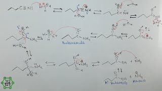Hidrólisis de Nitrilos Catalizada por Ácido  Hidrólisis Ácida de Amidas  Mecanismo de Reacción [upl. by Wileen]