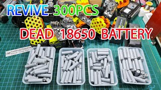 Revive 300pcs Dead 18650 Liion Battery Cell in 4 Day [upl. by Ducan80]