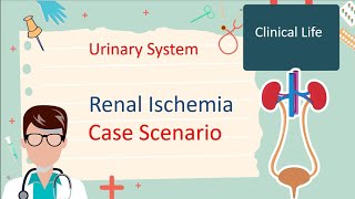 Renal ischemia  Case Scenario 2 [upl. by Norvin]