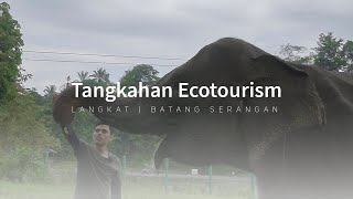 TANGKAHAN ECOTOURISM  LANGKAT tangkahan [upl. by Kevyn]