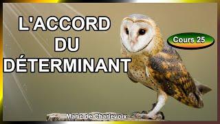 Laccord du déterminant cours 25 ✔ EXERCICES et ÉVALUATIONS sur Marie de Charlevoix 😉 [upl. by Aicilihp]