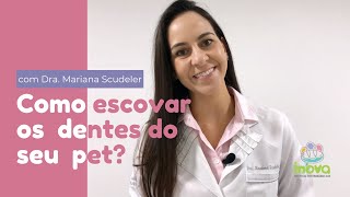 Passo a Passo Como escovar os dentes do seu cão [upl. by Eidod]