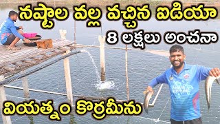 తెలియక 8 లక్షలు నష్టం korrameenu fish farming MalleshAdla [upl. by Airual]