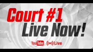 Court 1 Live Stream Elgin IL [upl. by Lissa823]