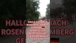 HALLO SULZBACH ROSENBERG AMBERG GERMANY🇩🇪 БЕЖЕНЦЫ ЧТО ДЕЛАТЬ СЕЙЧАС СКАЗКАНА ДИВАНЕ 3 СЕРИЯ [upl. by Evslin]