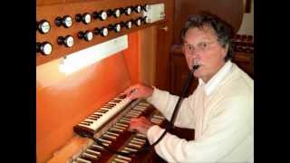 Gossec  Gavotte  Gerard van Reenen melodica amp organ [upl. by Leksehcey]