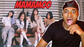 FIRST TIME REACTING TO MAMAMOO HIP Starry Night Egotistic AYA [upl. by Auhsoj497]