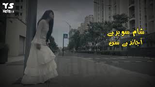 Vigar Gai Ay Thoray Dina Tu  NFAK Sad Lines  Whatsapp Status [upl. by Aerahs]