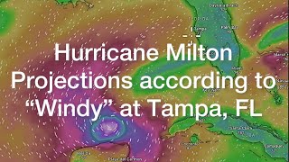 Hurricane Milton Timelapse Projections  Wind Wave Path Windycom [upl. by Elleryt]