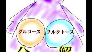 歯科衛生士国試サポート～う蝕の発生＆グルカン生成 [upl. by Zenia]