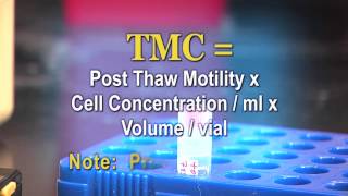 Fairfax Cryobank Thaw Instructions [upl. by Swetiana688]