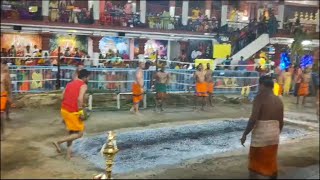 Fire Walking Festival 2023 Highlights from Sir Mariamman Temple Singapore [upl. by Hochman]