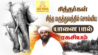 சித்தர்கள் சித்த மருத்துவத்தில் சொல்லிய யானை பால் ரகசியம்  GURUJI ARUL [upl. by Innes409]