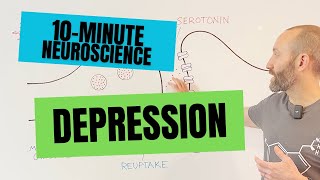 10Minute Neuroscience Depression [upl. by Arahs336]