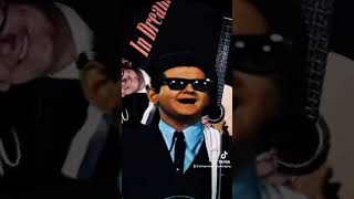 Roy Orbison  In Dreams Elvis Presley’s Favourite Singer Most Amazing Voice [upl. by Daryn]