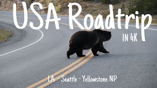 USA ROADTRIP🇺🇸 I Pt 1 LA  Sacramento  Seattle  Yellowstone NP🐻 I 8500 km I 4K [upl. by Anallese]