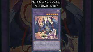 What Does Garura Wings of Resonant Life Do [upl. by Gnap]