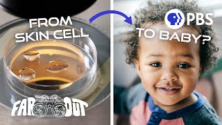 How to Turn Skin Cells Into a Baby [upl. by Dyolf]