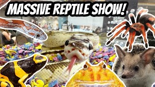 Massive Reptile And Pet Show [upl. by Yblehs]