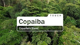 doTERRA Copaiba Touch Translated Subtitles [upl. by Demmahom737]