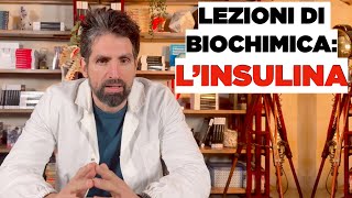 Lezione di biochimica lINSULINA [upl. by Oterol]