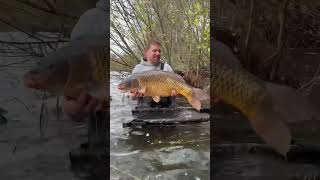 15 Jahre endlich karpfenangeln karpfen fishing angeln fish carp angling carpangler carplife [upl. by Angil197]