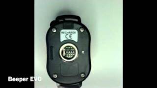 Impostazione tempo tono traccia collare beeper evo [upl. by Nyvek]