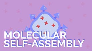 What is molecular selfassembly [upl. by Micheal]