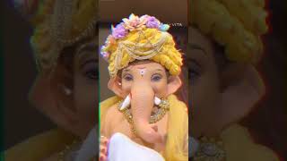 My cute bappa morya lovely 😍🌹 [upl. by Birk]