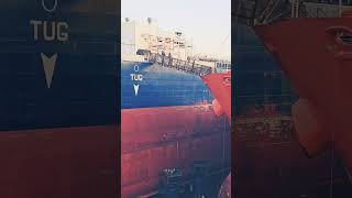 This is how you pass from one ship to another during docking ship vessel shipping boat seaman [upl. by Arolf]