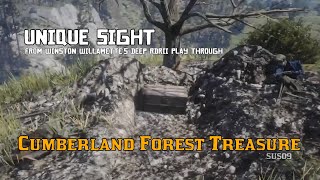 Cumberland Forest Treasure  Unique Sight RDRII [upl. by Therese]