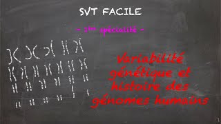 SVT FACILE  1ère spé  Variabilité génétique et histoire des génomes humains [upl. by Utir308]