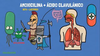 AMOXICILINA CON ÁCIDO CLAVULÁNICO  PARA QUÉ SRIVE LA AMOXICILINA [upl. by Rajewski189]