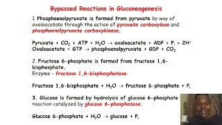 BiochemistrySimplifiedGluconeogenesis [upl. by Hilarius9]