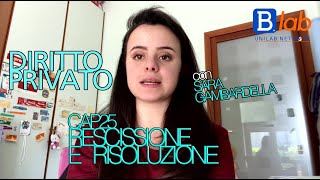 Diritto Privato per Economia  Cap 27 Rescissione e Risoluzione [upl. by Dde]