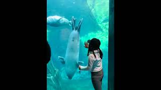 Assiniboine Zoo Winnipeg Manitoba [upl. by Ynavoj]