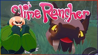 SLIME RANCHER OGDENS WILD UPDATE  Saber Slimes Kookadoba amp Wilds Overview [upl. by Anitsyrhk]